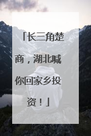 长三角楚商，湖北喊你回家乡投资！