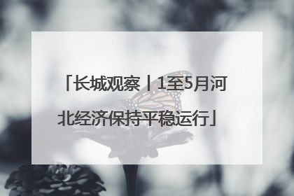长城观察丨1至5月河北经济保持平稳运行