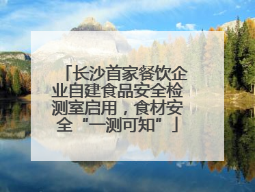 长沙首家餐饮企业自建食品安全检测室启用，食材安全“一测可知”