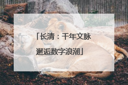 长清：千年文脉邂逅数字浪潮