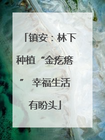 镇安：林下种植“金疙瘩” 幸福生活有盼头