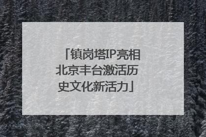 镇岗塔IP亮相 北京丰台激活历史文化新活力
