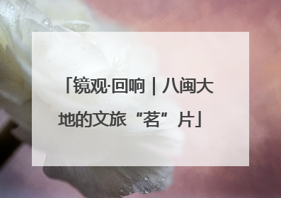 镜观·回响｜八闽大地的文旅“茗”片