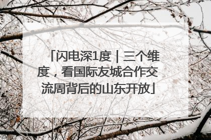 闪电深1度｜三个维度，看国际友城合作交流周背后的山东开放