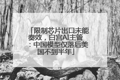 限制芯片出口未能奏效，白宫AI主管：中国模型仅落后美国不到半年