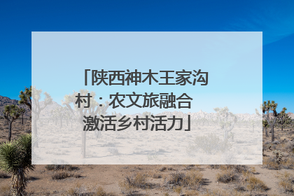 陕西神木王家沟村：农文旅融合 激活乡村活力