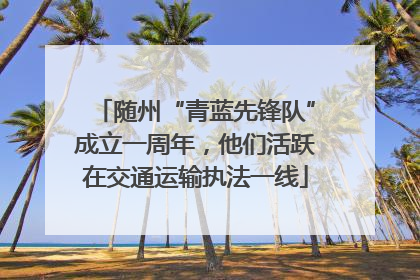 随州“青蓝先锋队”成立一周年，他们活跃在交通运输执法一线