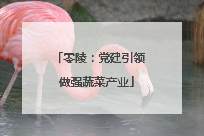 零陵：党建引领 做强蔬菜产业