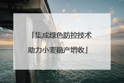 集成绿色防控技术助力小麦稳产增收