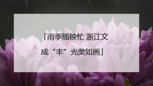 雨季插秧忙 浙江文成“丰”光美如画