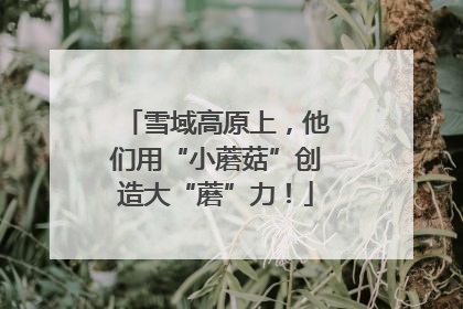 雪域高原上，他们用“小蘑菇”创造大“蘑”力！