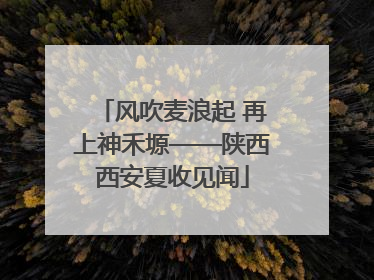 风吹麦浪起 再上神禾塬——陕西西安夏收见闻