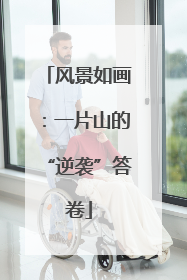 风景如画：一片山的“逆袭”答卷