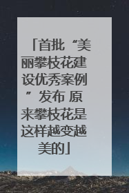 首批“美丽攀枝花建设优秀案例”发布 原来攀枝花是这样越变越美的