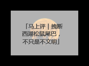 马上评｜拽断西湖松鼠尾巴，不只是不文明