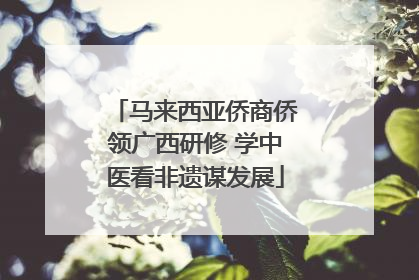 马来西亚侨商侨领广西研修 学中医看非遗谋发展