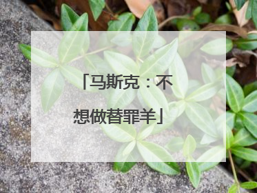 马斯克：不想做替罪羊