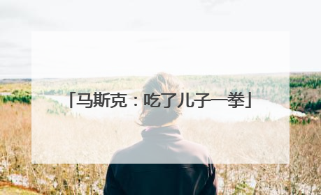 马斯克：吃了儿子一拳