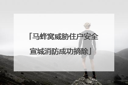马蜂窝威胁住户安全 宣城消防成功摘除