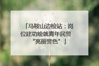 马鞍山边检站：岗位建功绘就青年民警“亮丽警色”