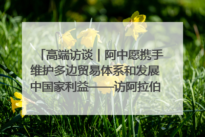 高端访谈｜阿中愿携手维护多边贸易体系和发展中国家利益——访阿拉伯议会议长亚马希