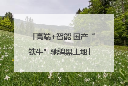 高端+智能 国产“铁牛”驰骋黑土地