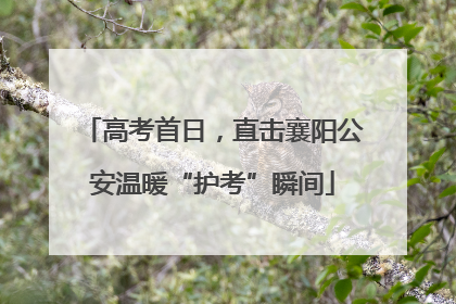 高考首日，直击襄阳公安温暖“护考”瞬间