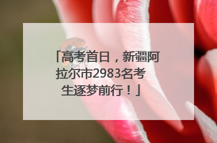 高考首日，新疆阿拉尔市2983名考生逐梦前行！