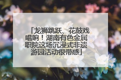 龙狮跳跃、花鼓戏唱响！湖南有色金属职院这场沉浸式非遗游园活动很带感