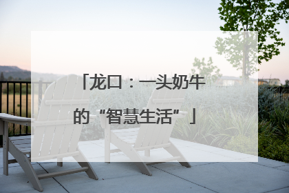 龙口：一头奶牛的“智慧生活”