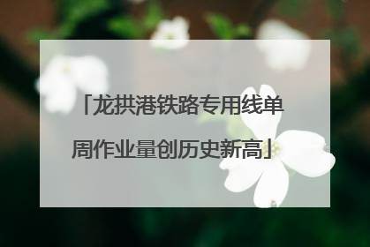 龙拱港铁路专用线单周作业量创历史新高