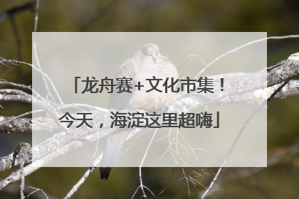 龙舟赛+文化市集！今天，海淀这里超嗨
