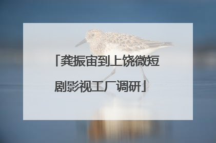 龚振宙到上饶微短剧影视工厂调研