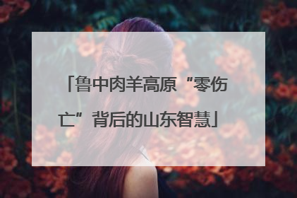 鲁中肉羊高原“零伤亡”背后的山东智慧