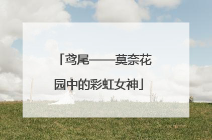 鸢尾——莫奈花园中的彩虹女神