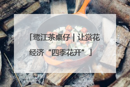 鹭江茶桌仔｜让赏花经济“四季花开”
