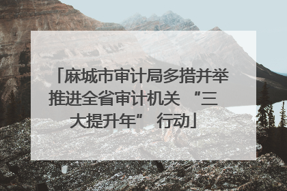 麻城市审计局多措并举推进全省审计机关 “三大提升年” 行动