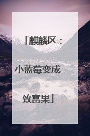 麒麟区：小蓝莓变成致富果