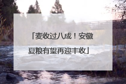 麦收过八成！安徽夏粮有望再迎丰收