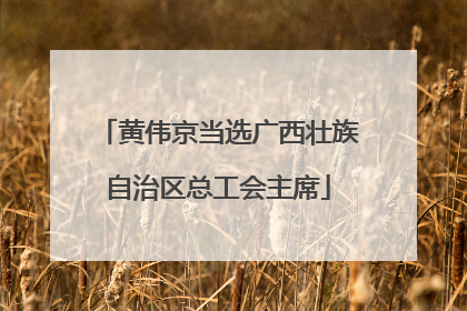 黄伟京当选广西壮族自治区总工会主席
