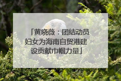 黄晓薇：团结动员妇女为海南自贸港建设贡献巾帼力量