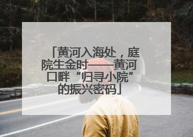 黄河入海处，庭院生金时——黄河口畔“归寻小院”的振兴密码
