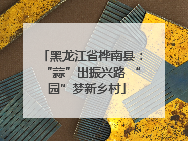 黑龙江省桦南县：“蒜”出振兴路 “园”梦新乡村