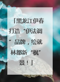 黑龙江伊春打造“伊法调”品牌，绘就林都新“枫”景！