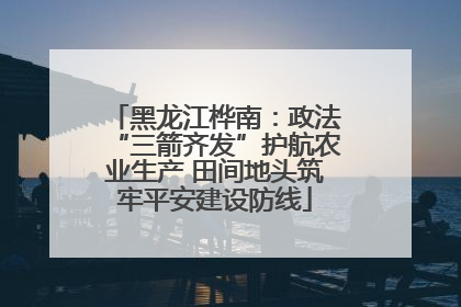 黑龙江桦南：政法“三箭齐发”护航农业生产 田间地头筑牢平安建设防线
