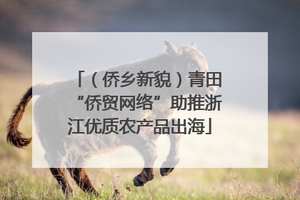 （侨乡新貌）青田“侨贸网络”助推浙江优质农产品出海