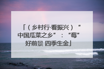 （乡村行·看振兴）“中国瓜菜之乡”：“莓”好前景 四季生金