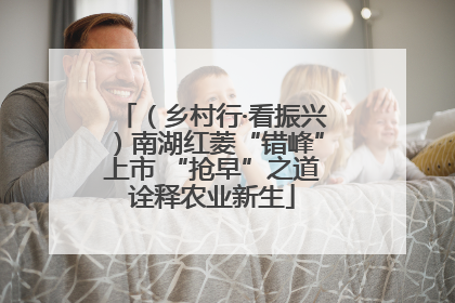 （乡村行·看振兴）南湖红菱“错峰”上市 “抢早”之道诠释农业新生