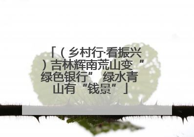 （乡村行·看振兴）吉林辉南荒山变“绿色银行” 绿水青山有“钱景”