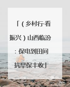 （乡村行·看振兴）山西临汾：保电到田间 抗旱保丰收